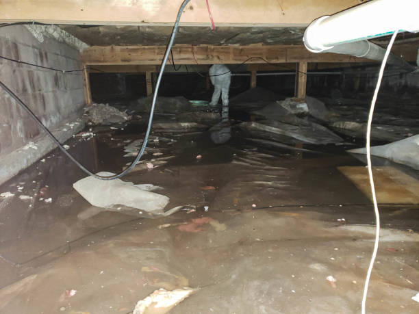 Best Water Damage Assessment and Inspection in USA